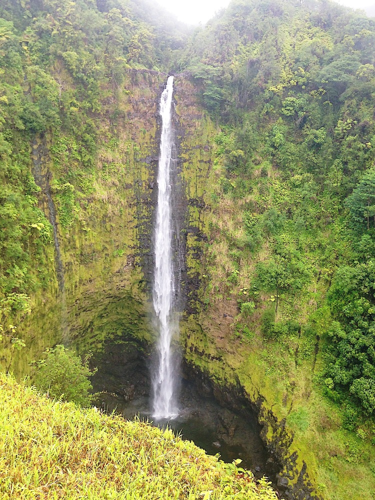 Akaka Falls in Hilo Hawaii